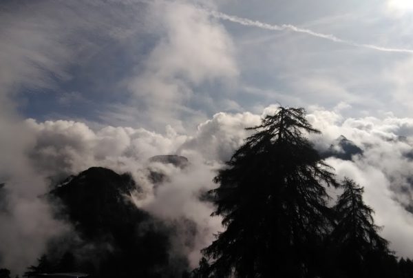 Passeggiata al rifugio Albasini in località Malghet - Aut P 20180825 103629 600x403 - Passeggiata al rifugio Albasini in località Malghet - Aut
