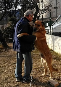 La storia di SOLO (un cane come tanti)