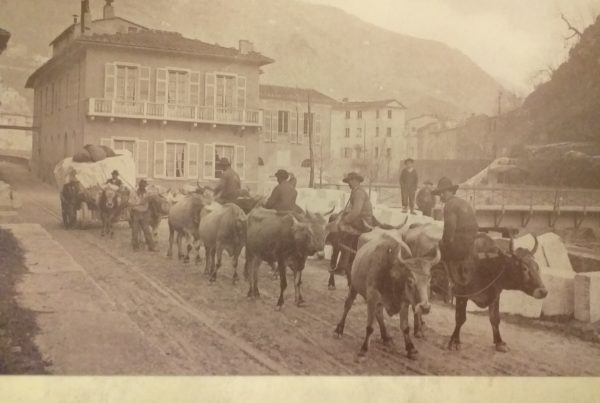 Lo sfruttamento dei buoi nella distruzione delle Alpi Apuane (ovvero: una Davide vale una vita o una montagna)? 20190628 184851 600x403 - Lo sfruttamento dei buoi nella distruzione delle Alpi Apuane (ovvero: una Davide vale una vita o una montagna)?